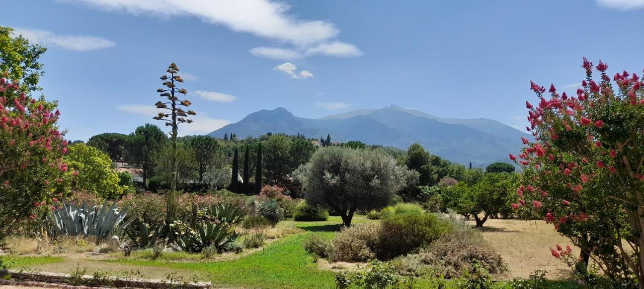 Bed and Breakfast Castell Rose Prades  Exterior foto