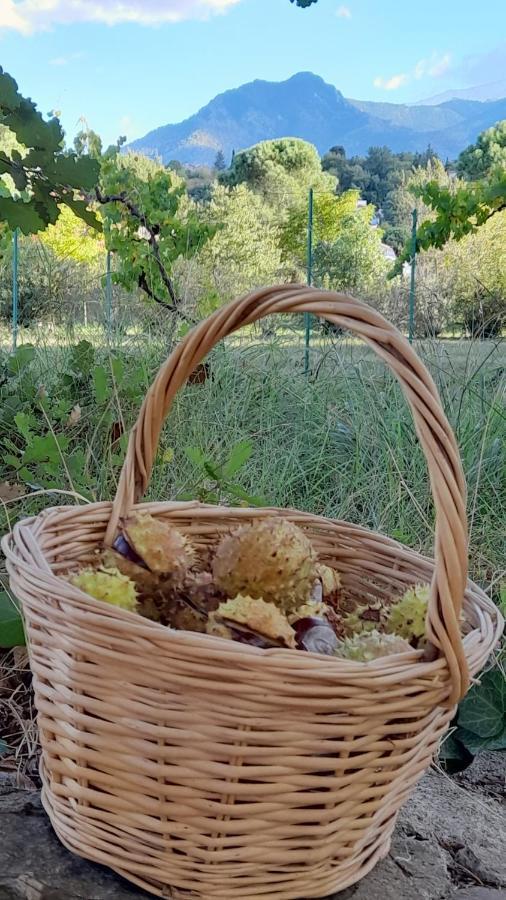 Bed and Breakfast Castell Rose Prades  Exterior foto