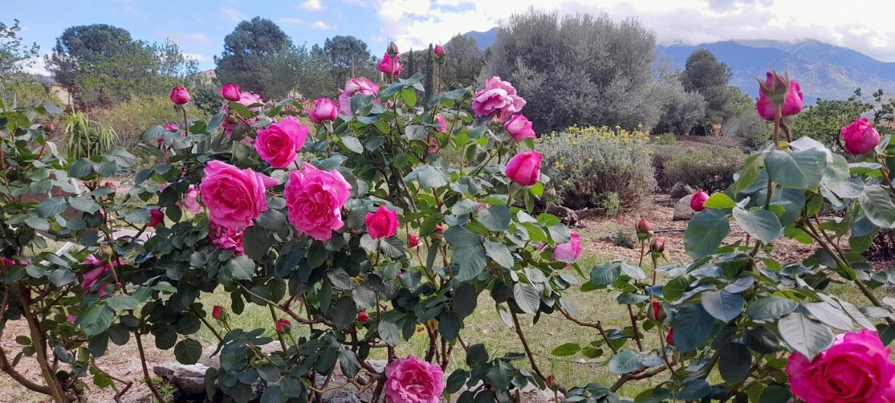 Bed and Breakfast Castell Rose Prades  Exterior foto