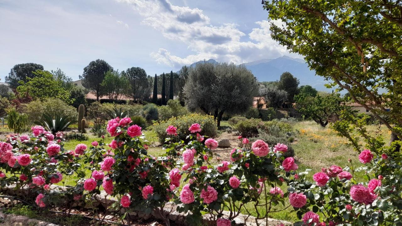 Bed and Breakfast Castell Rose Prades  Exterior foto