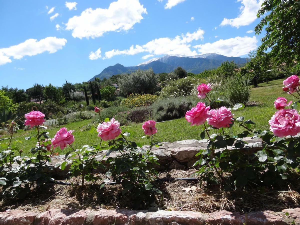 Bed and Breakfast Castell Rose Prades  Exterior foto